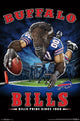 Buffalo Bills End Zone Poster Print - 22x34
