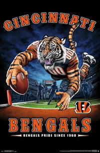 Cincinnati Bengals End Zone Poster Print - 22x34