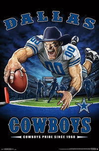 Dallas Cowboys End Zone Poster Print - 22x34 Rolled Poster