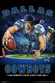 Dallas Cowboys End Zone Poster Print - 22x34 Rolled Poster