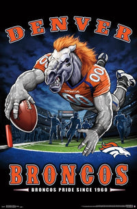 Denver Broncos End Zone Poster Print - 22x34