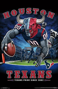 Houston Texans End Zone Poster Print - 22x34 Rolled Poster