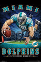 Miami Dolphins End Zone Poster Print - Perfect for Fans