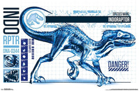 Jurassic World 2 Indo-Raptor Poster Print - 22x34