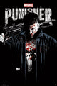 The Punisher Key Art Poster Print 22x34 - vibrant action poster