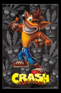 Crash Bandicoot Poster Print - 22x34 Rolled Art