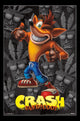 Crash Bandicoot Poster Print - 22x34 Rolled Art