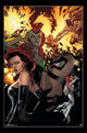 X-Men: Dark Phoenix Collage Poster Print - 22x34