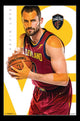 Cleveland Cavaliers Kevin Love Poster Print - 22x34