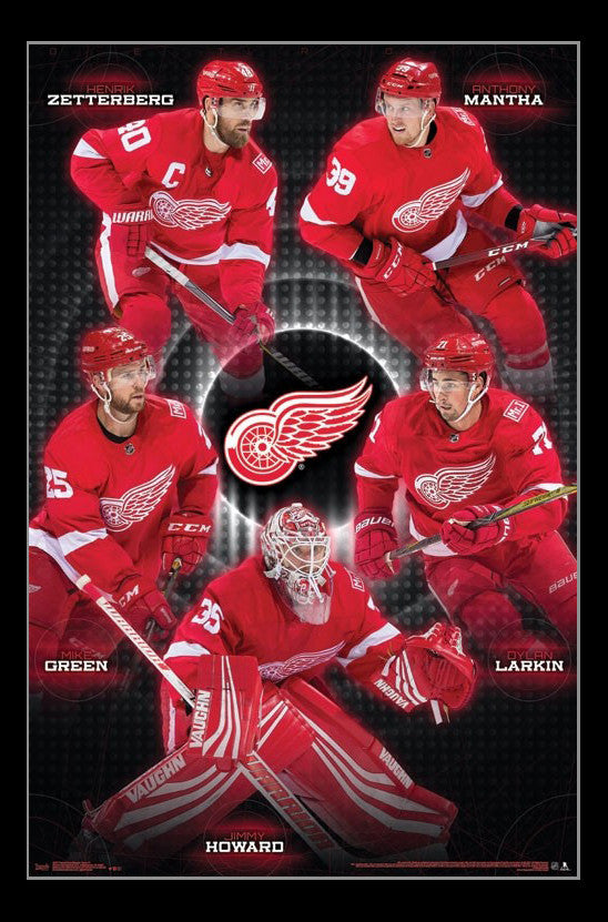 Detroit Red Wings Team Poster Print - 22x34 Rolled Poster