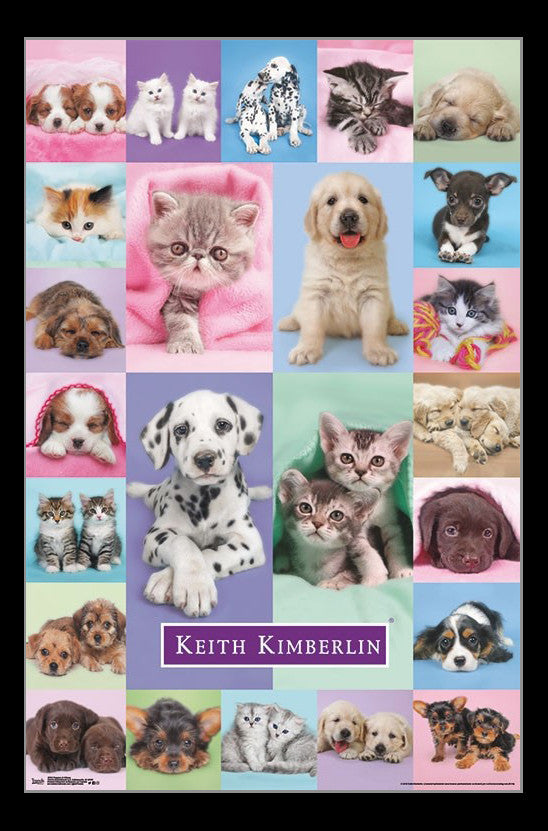 Adorable Puppies & Kittens Poster Print - Rolled Art