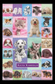 Adorable Puppies & Kittens Poster Print - Rolled Art