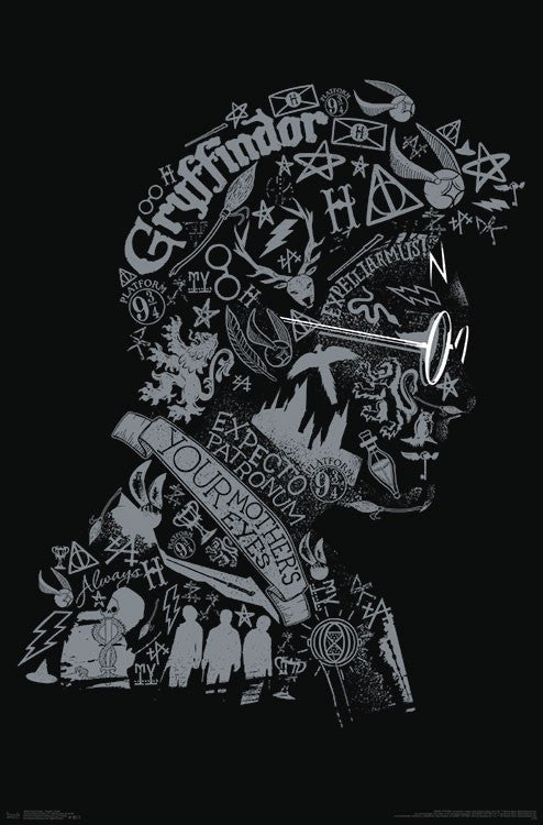 Harry Potter Graphic Poster Print - Rolled Poster 22x34