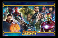 Avengers: Infinity War Team Poster Print (34x22) - Rolled Poster
