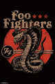 Foo Fighters Cobra Poster Print - 22x34 Rolled Art