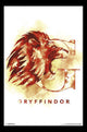 Harry Potter Gryffindor Illustrated Poster Print 22x34