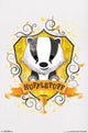 Harry Potter Hufflepuff Charm Poster Print - 22x34
