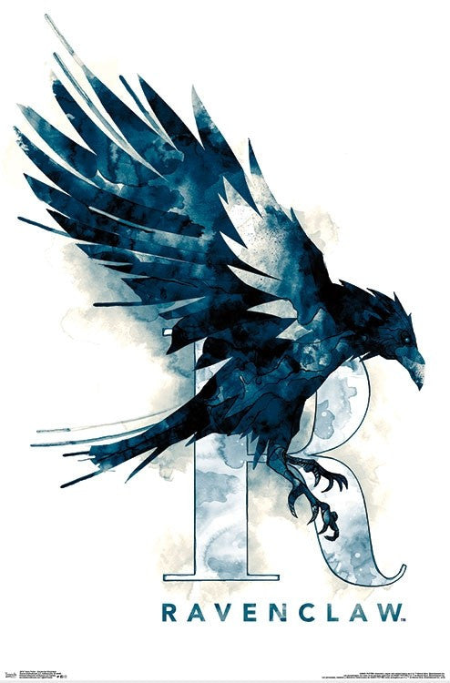 Harry Potter Ravenclaw Illustrated Poster Print 22x34