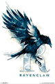 Harry Potter Ravenclaw Illustrated Poster Print 22x34