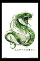 Harry Potter Slytherin Illustrated Poster Print - 22x34