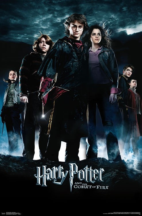 Harry Potter Goblet Group Poster Print 22x34