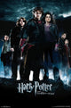 Harry Potter Goblet Group Poster Print 22x34