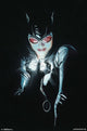 Catwoman Portrait Poster Print - 22x34 Rolled Artwork