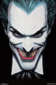 Joker Portrait Poster Print - 22x34 | Posterazzi
