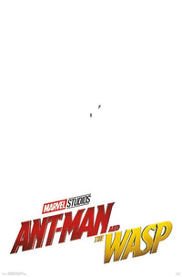 Ant-Man and The Wasp One Sheet Poster Print 22x34