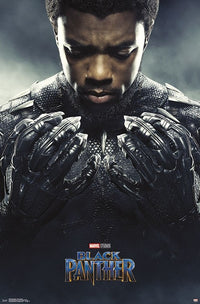 Black Panther Poster Print (22x34) | Posterazzi