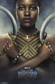 Black Panther - Nakia Rolled Poster Print (22x34)