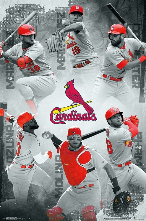 St. Louis Cardinals Team Poster Print - 22x34