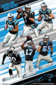 Carolina Panthers Team Poster Print - 22x34 Rolled Poster