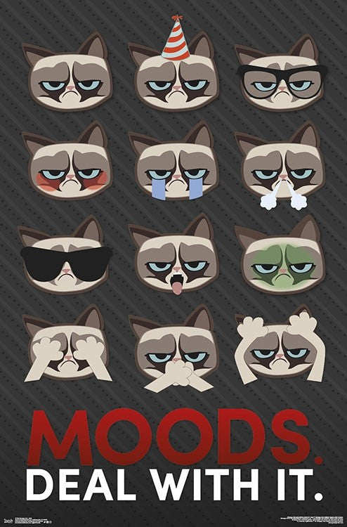 Grumpy Cat - Grid Poster Print (22x34)