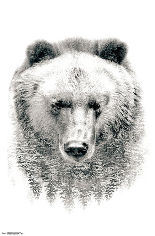 Bear in Forest Poster Print - 22x34 | Posterazzi