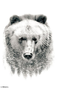 Bear in Forest Poster Print - 22x34 | Posterazzi