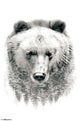 Bear in Forest Poster Print - 22x34 | Posterazzi