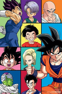 Dragon Ball Z Grid Poster Print - 22x34 Rolled Poster