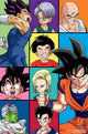 Dragon Ball Z Grid Poster Print - 22x34 Rolled Poster