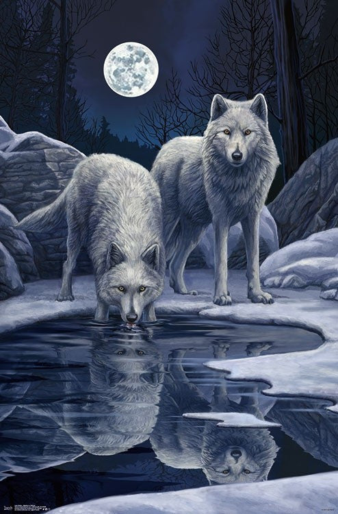Warriors of Winter Poster Print by Lisa Parker