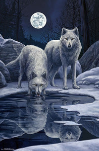 Warriors of Winter Poster Print by Lisa Parker