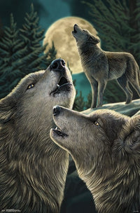 Wolf Song Poster Print by Lisa Parker - 22x34