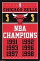 Chicago Bulls 2013 Championship Poster Print, vibrant sports decor