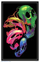 Liquid Skulls Black Light Poster, vibrant skull design