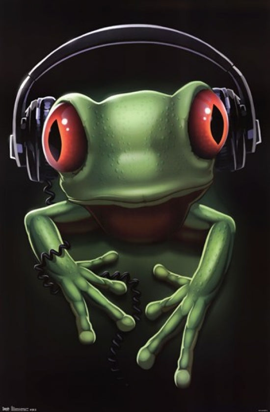 Frog Rock Poster Print featuring vibrant colors and nature-inspired design.
