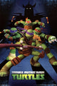 Teenage Mutant Ninja Turtles Assemble Poster Print 22x34