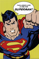 Superman - Looks Like A Job Rolled Poster Print 24x36