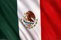 Bandera de Mexico 2013 Poster Print - Mexican Flag Decor