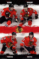 Chicago Blackhawks 2013 Team Poster Print on premium paper.