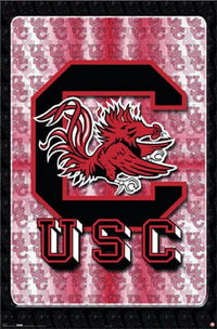 South Carolina Logo Poster Print (24x36) - Item #VARTIARP3736
